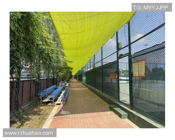 全国锦标赛回顾：西安网球队个人能力的精彩展现与分析