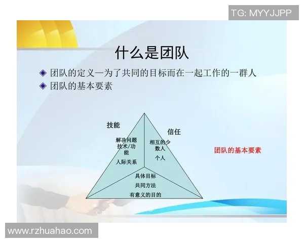 成都排球队总决赛精彩表现团队协作成就辉煌胜利分析