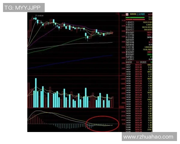 杭州羽毛球队与成都羽毛球队赛后复盘分析比赛节奏与战术对决