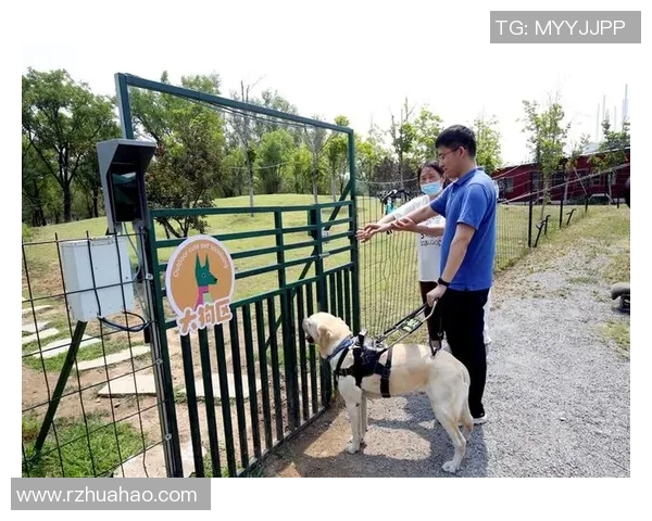 热爱足球与狗狗的明星球员们的感人故事与生活点滴