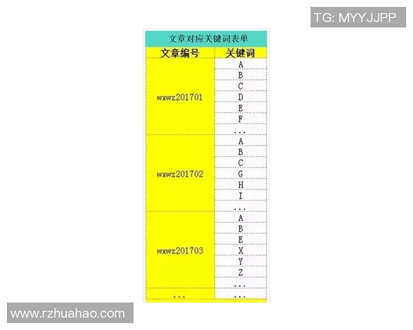 西安排球队耐力训练的关键因素与提升策略分析