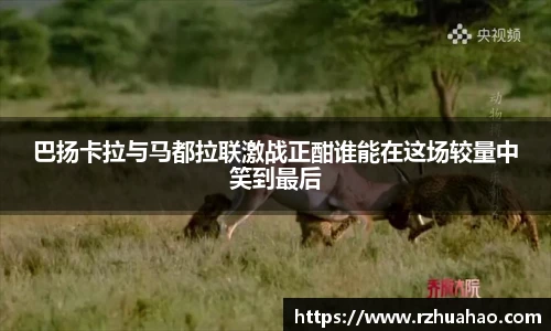 竞技宝官网网站